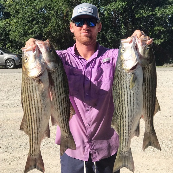 Meet your Posher, Jared - Picture 1 of 1